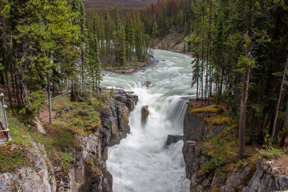 Sunwapta Falls Jasper National Park in fall