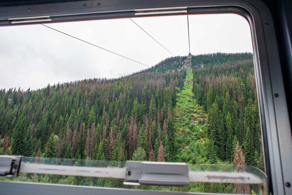 View out the window looking up as the Jasper Skytram travels up Whislter Mountain in Jasper National Park