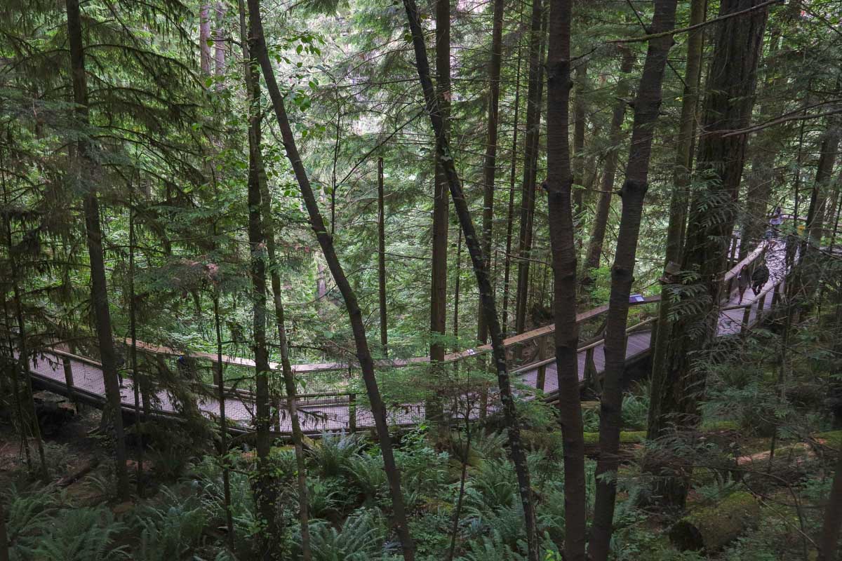 A walkway at Capilano Suspension Bridge in Vancouver