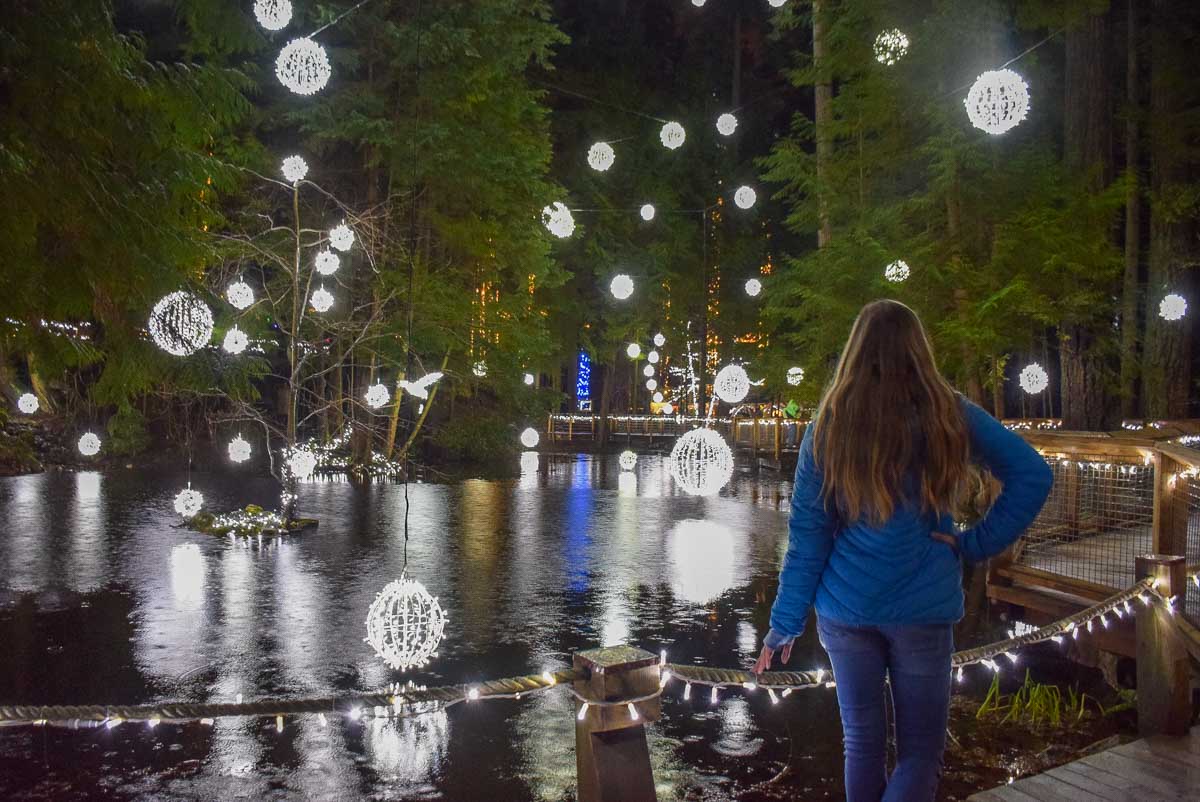 Bailey looks at the Canyon lights at capilano Suspension Bridge, Vancouver