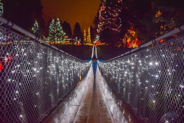 Bailey on the Capilano Suspension Bridge during the Canyon lights around Christmas in Vancouver