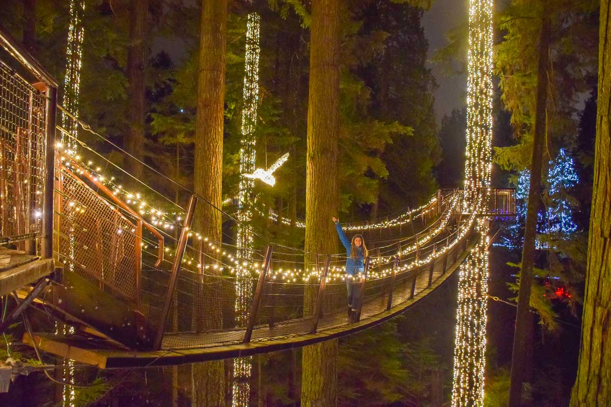 Bailey on the treetop walk during the Canyon lights at Capilano Suspension Bridge in Vancouver