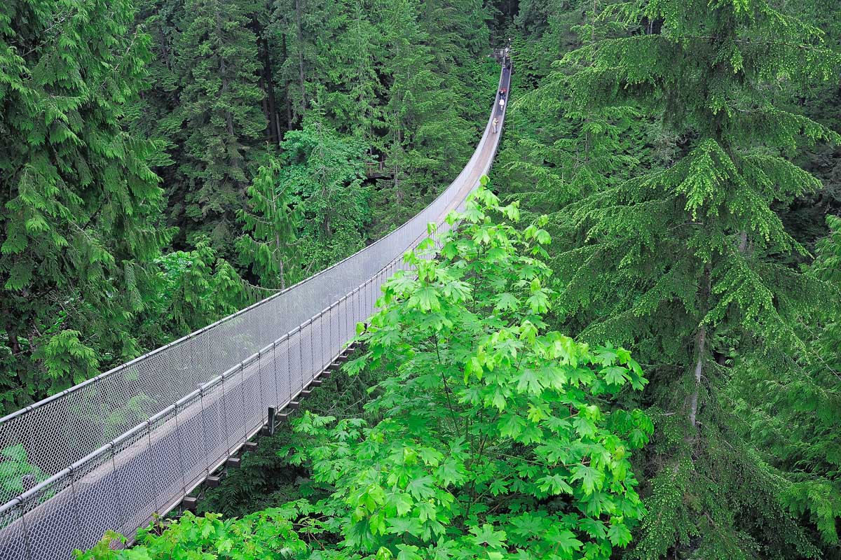 Capilano Suspension Bridge