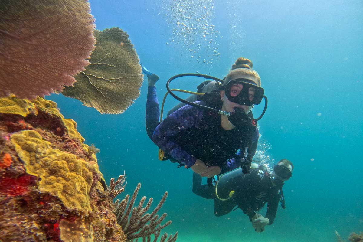 Daniel and Bailey swim past some corals while scuba diving in Rio De Janeiro, Brazil