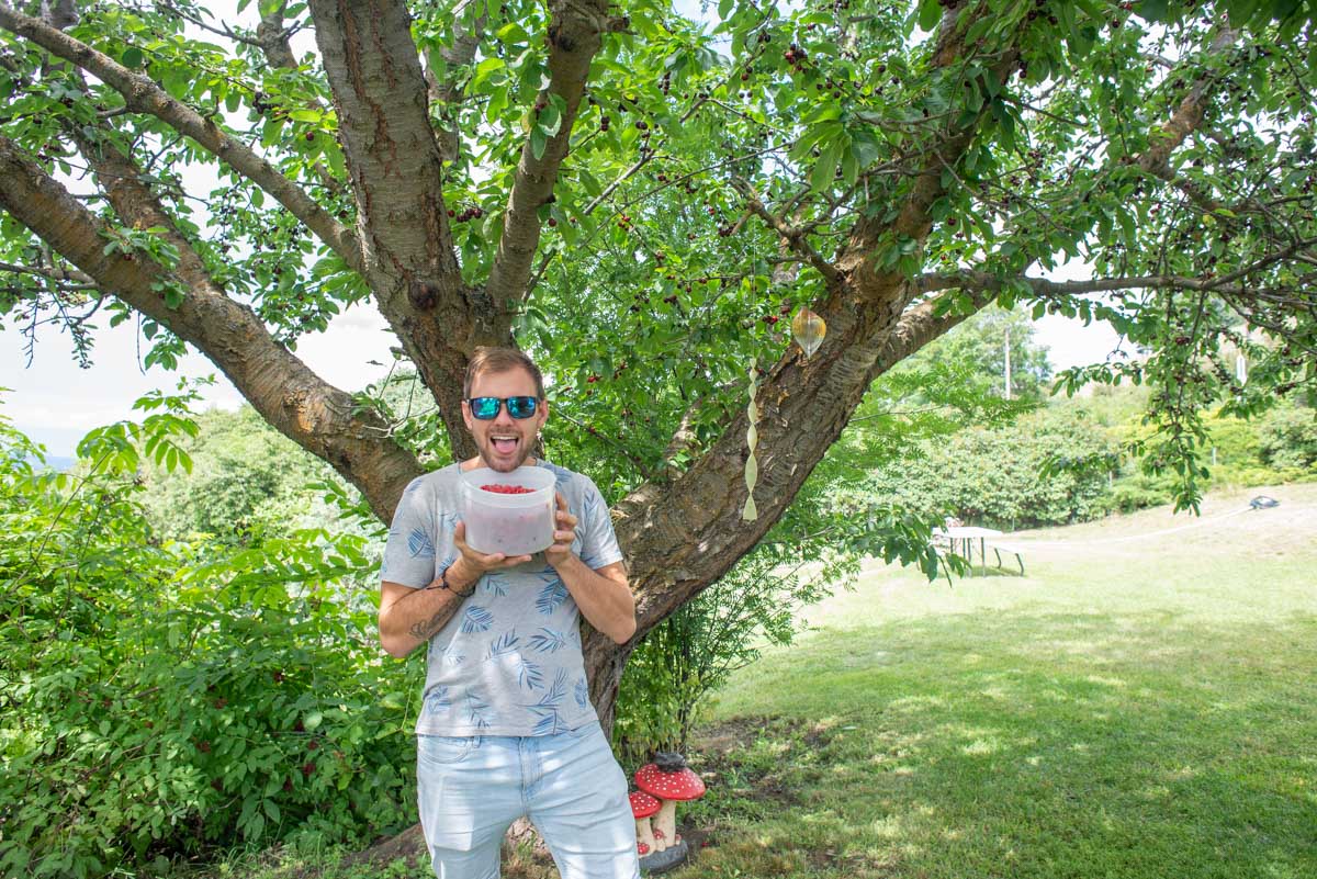 Daniel with a bucket of rasberries he picked in Armstrong, BC
