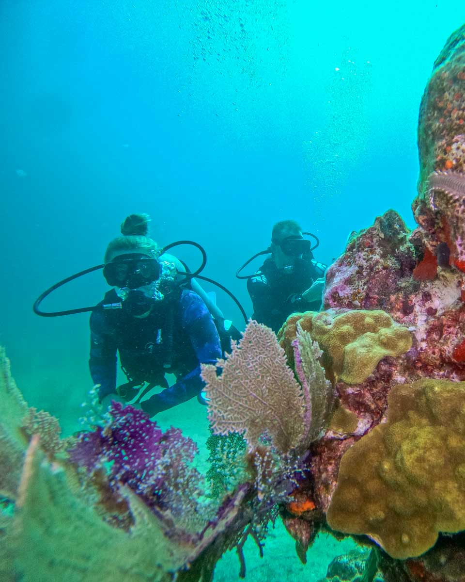 Diving in Rio De Janeiro, Brazil