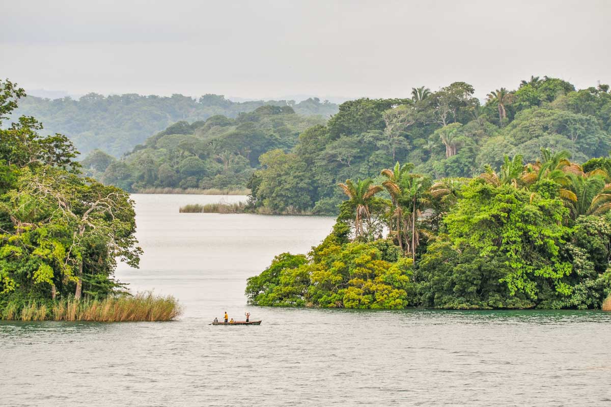 Lake Gatun Wildlife Tour from Panama City Â