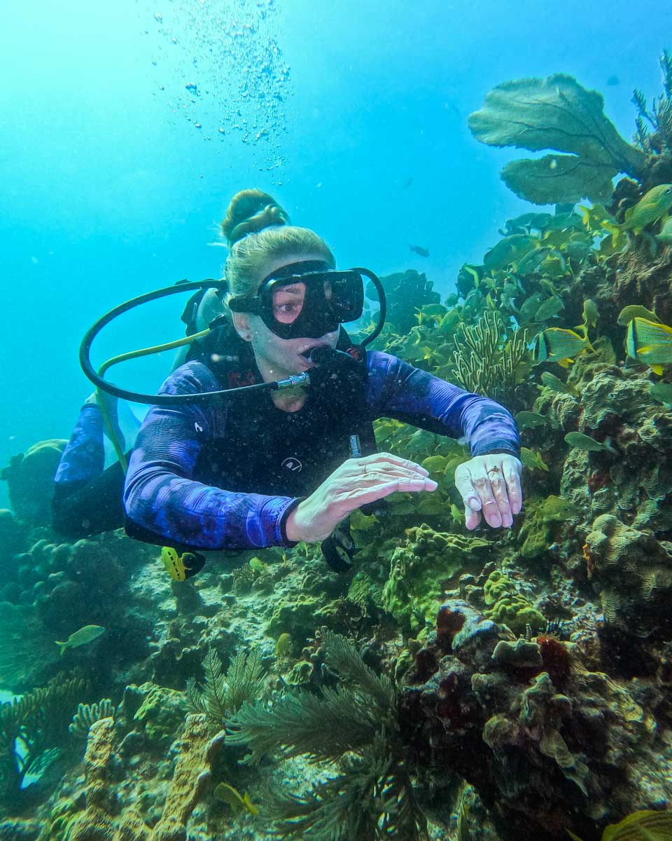 Bailey scuba diving in Rio De Janeiro, Brazil