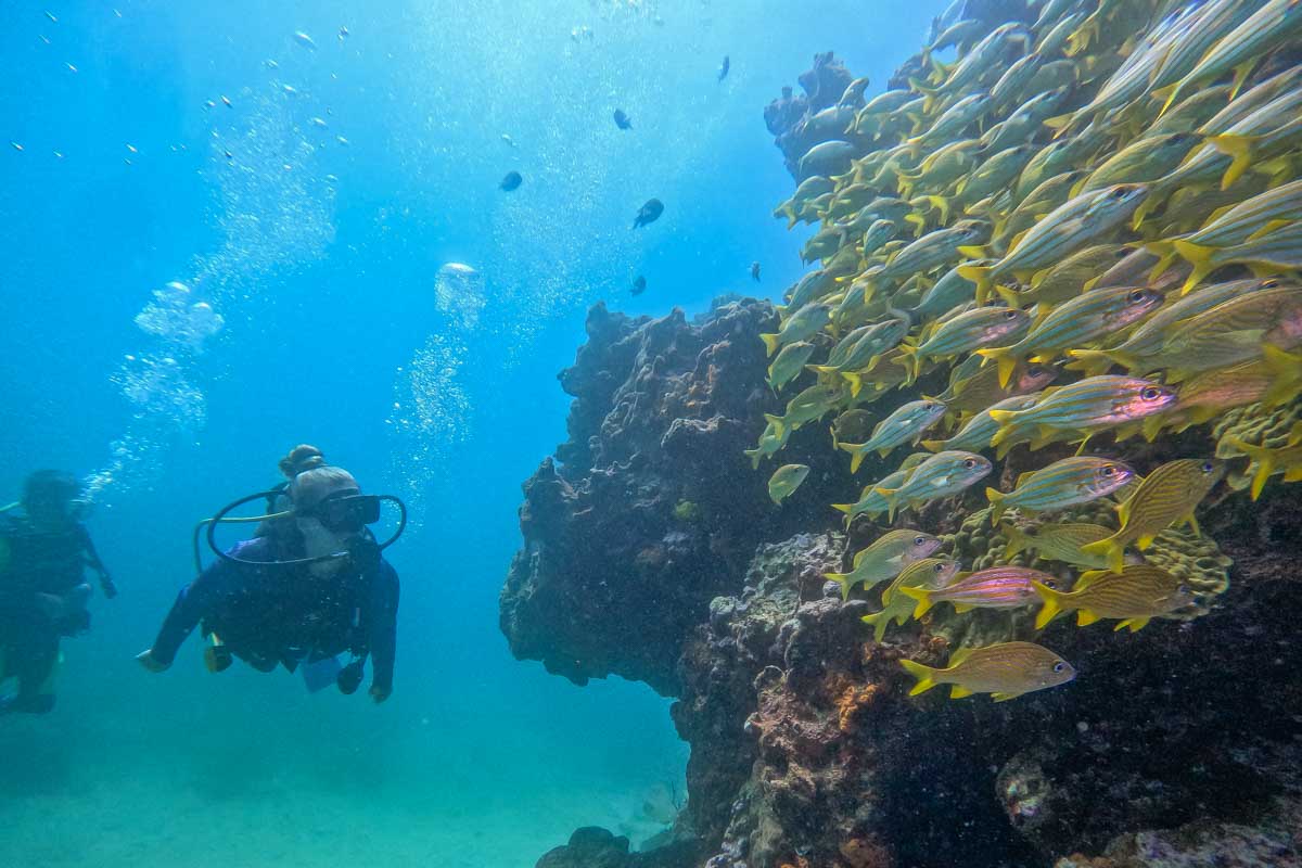 Scuba diving in Puerto Escondido, Mexico