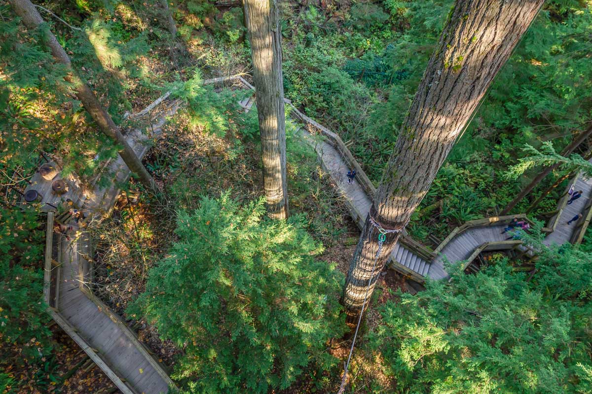 Walkway at Capilano Suspension Bridge in Vancouver