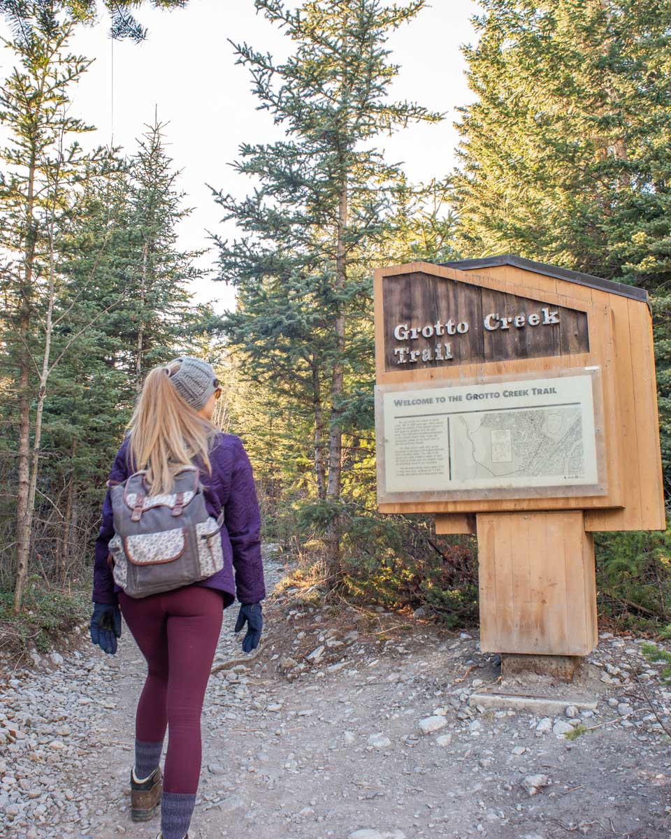 Bailey at the Grotto Creek Trail sign