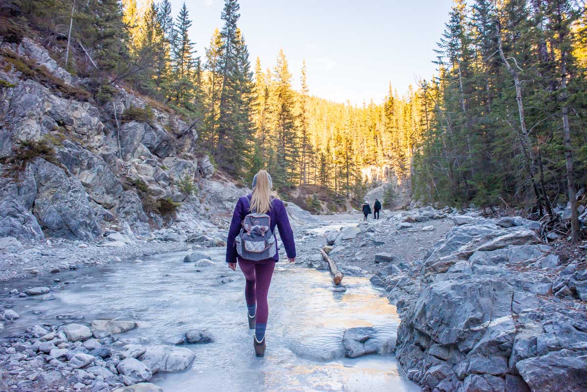 Bailey walks along a sheet of ice in Grotto Canyon, Canmore
