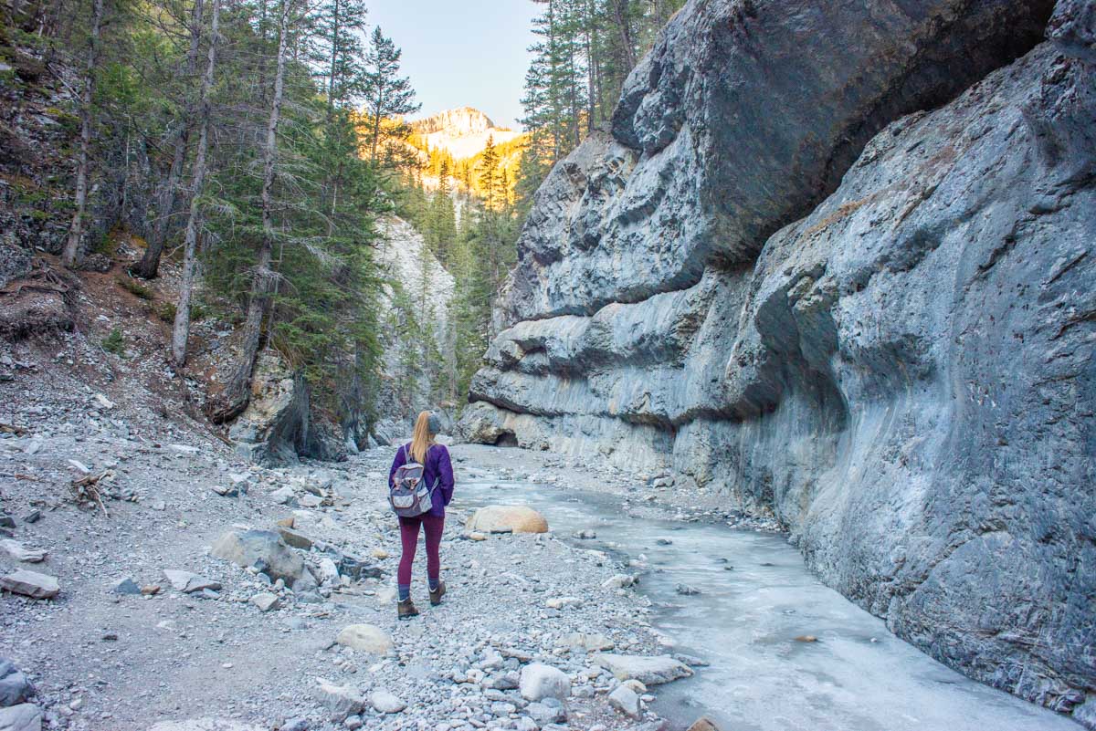 Bailey walks through Grotto Canyon