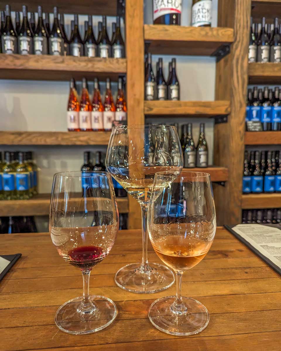 wine tasting at Backyard wineyards near Vancouver Canada