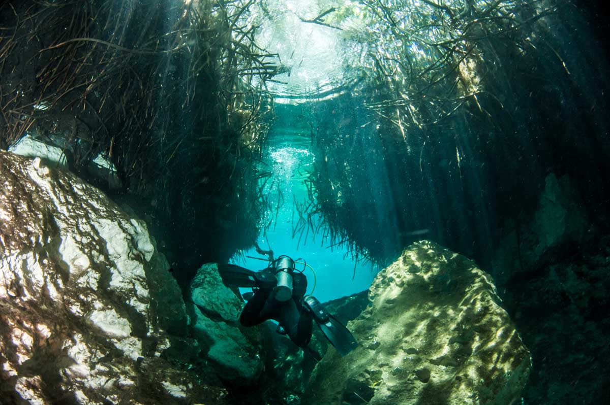 A person scuba dives in a shallow cenote in Tulum, Mexico