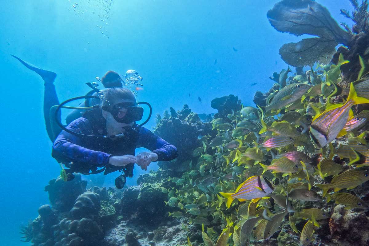 Bailey swims past a huge school of fish on a scuba diving trip from Tulum, Mexico
