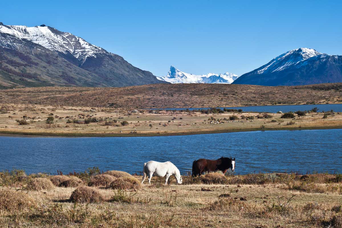Horseback riding in El Calafate