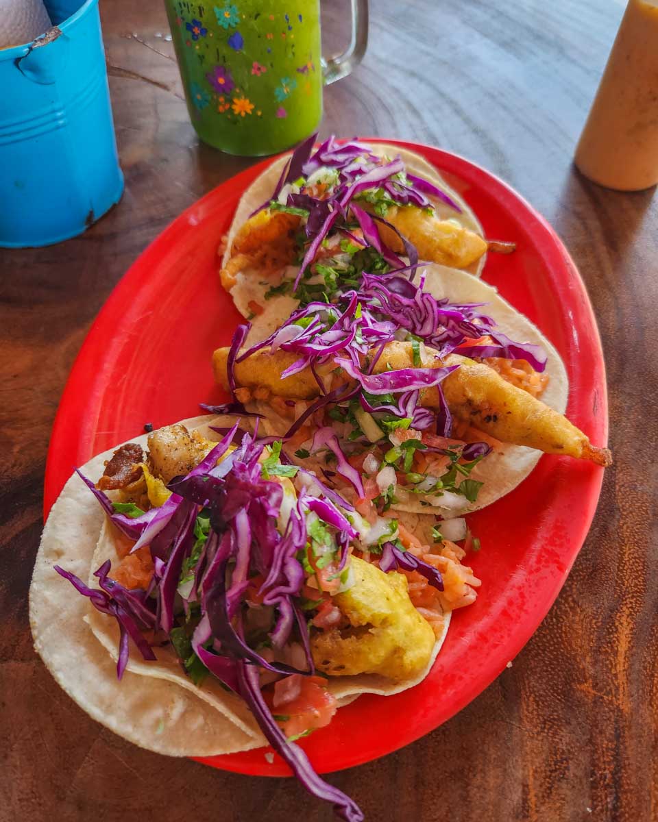 plate of seafood tacos in Cancun, Mexico