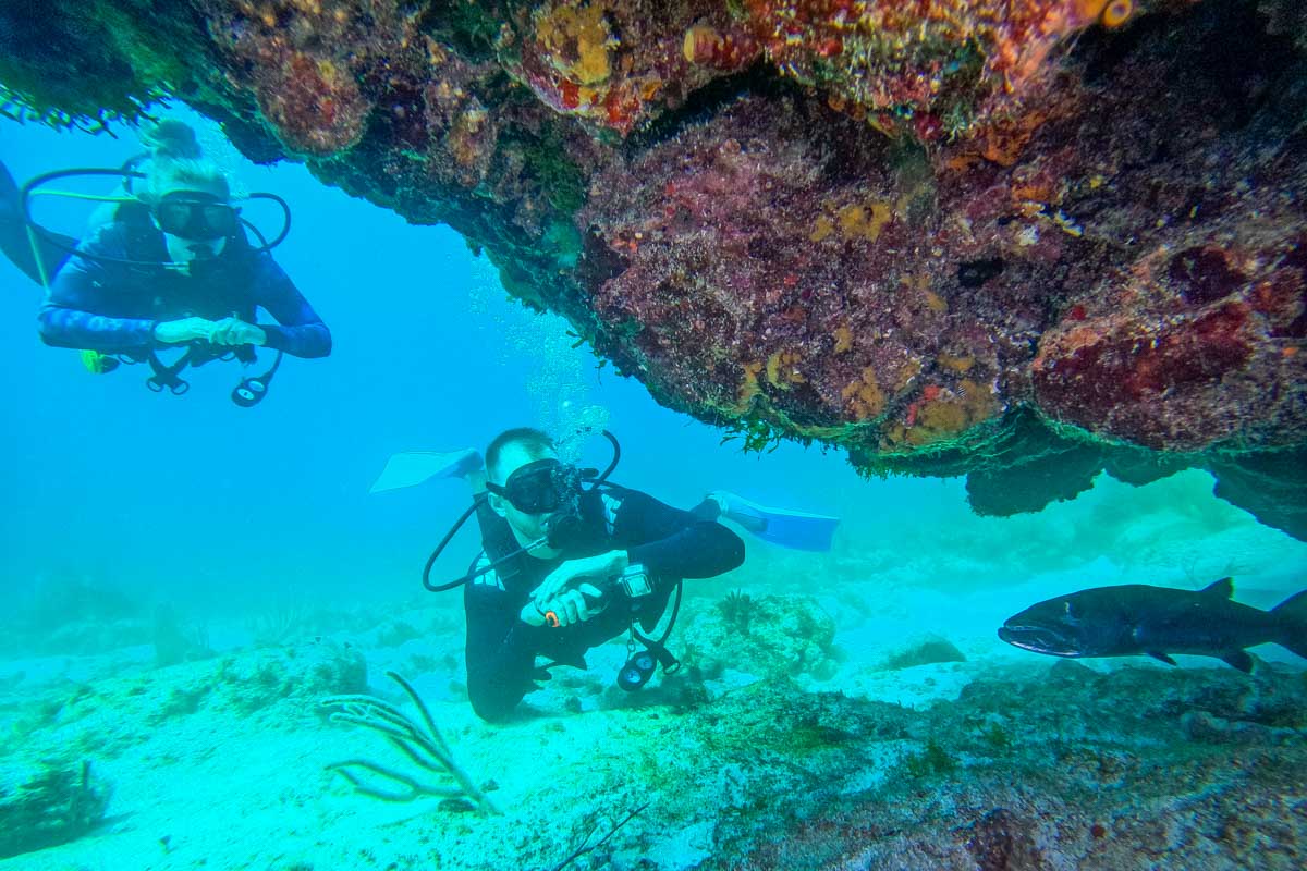 Bailey and Daniel look under a rock for fish while diving Cozumel, Mexico