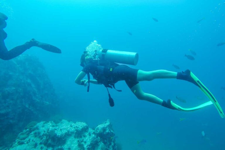 Bailey swims past while scuba diving in Puerto Vallarta, Mexico