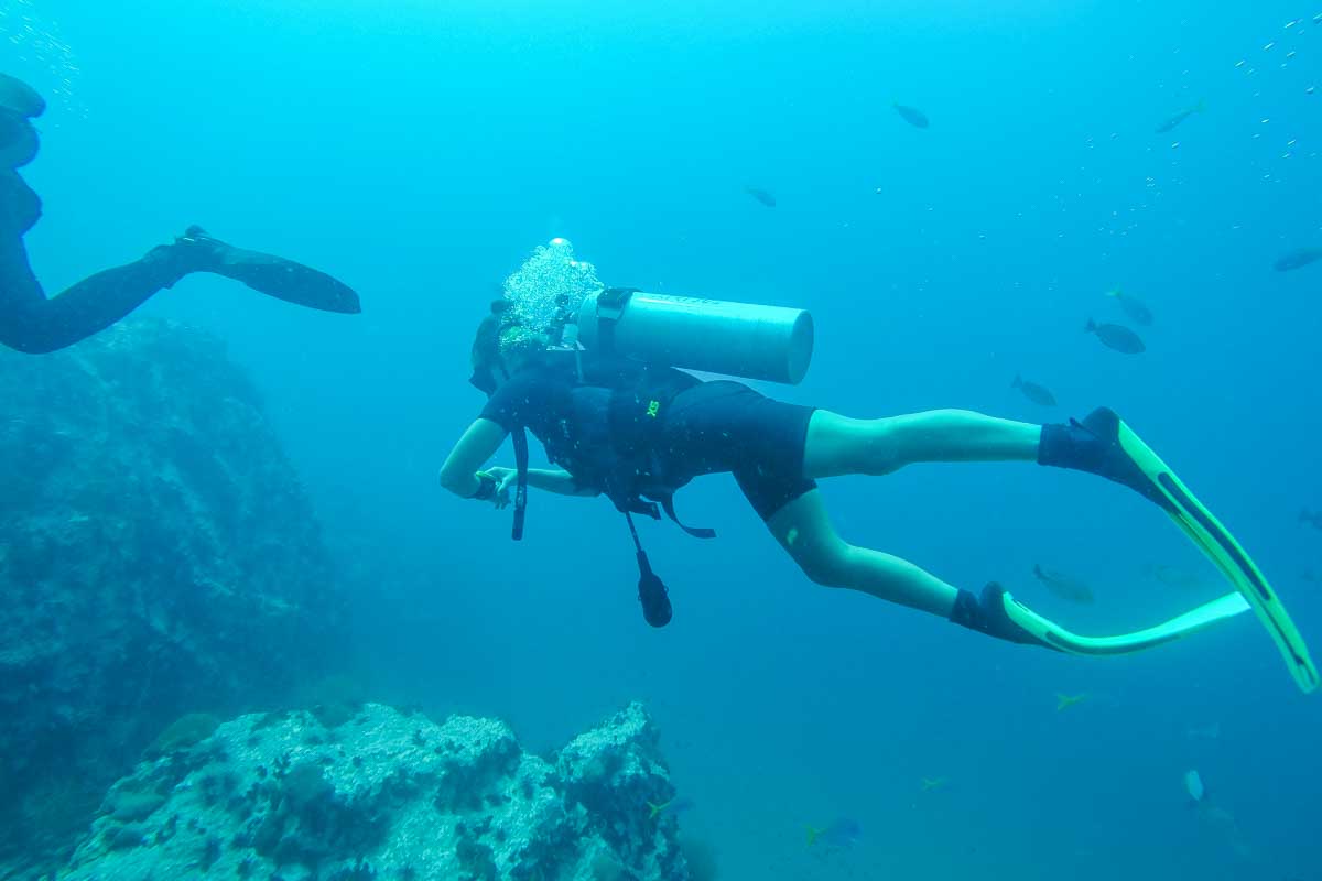 Bailey swims past while scuba diving in Puerto Vallarta, Mexico