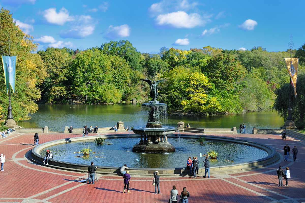 Beautiful pond in Central Park, New York City