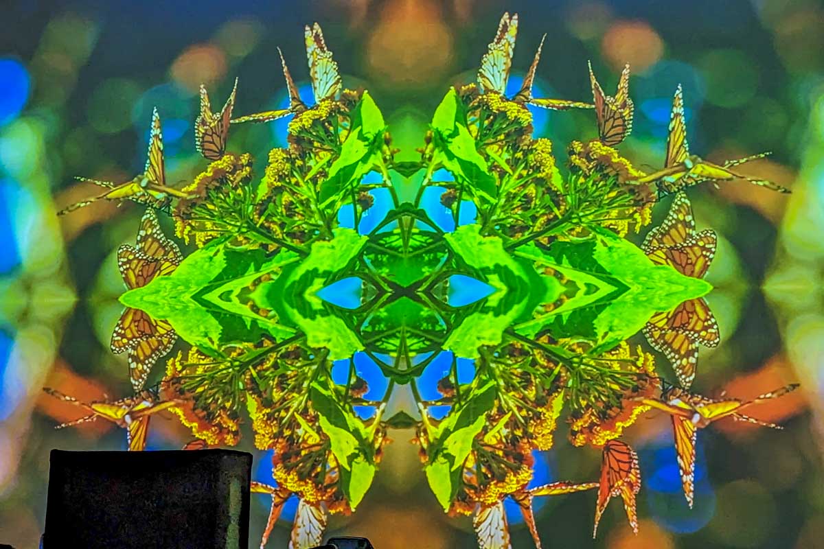 Butterfly pattern from a projector at Mystika Immersive, Tulum