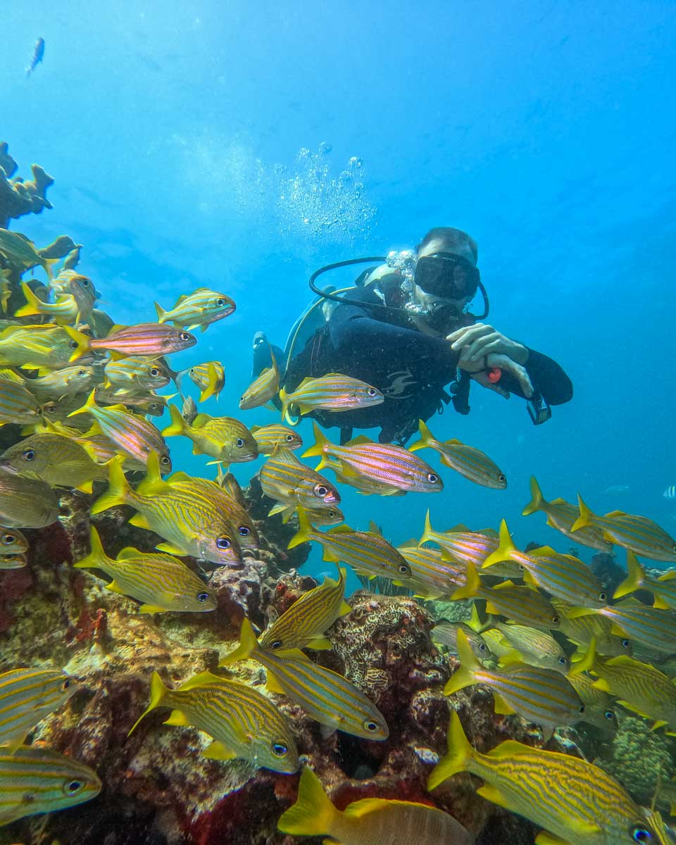 Daniel at the catalina islands scuba diving off the coast of Puerto Morelos, Mexico