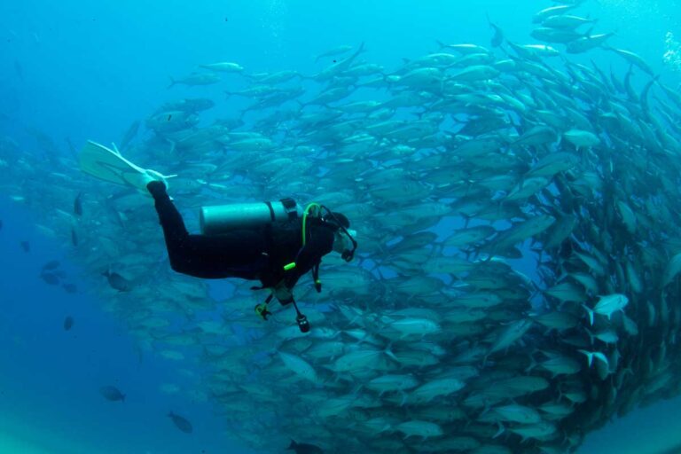 Scuba diving past a huge school of fish in Cabo San Lucas, Mexico