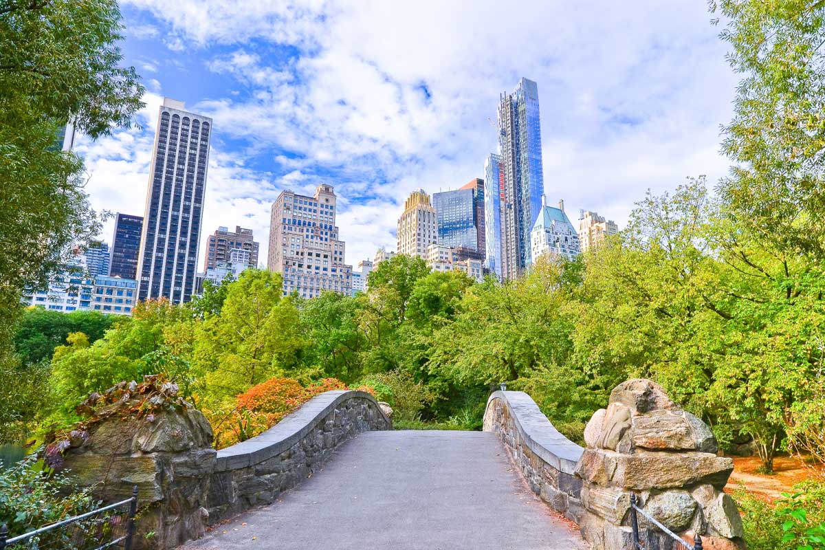 Views of Central Park with the New York City skyline in the background