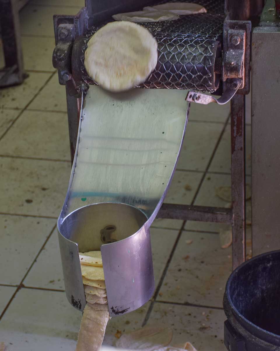 tortillas being made in Puerto Vallarta, Mexico