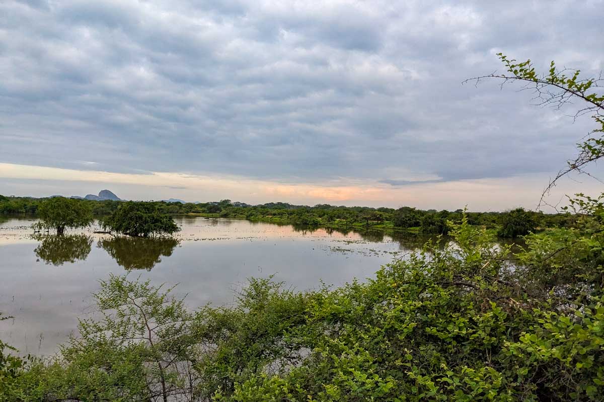 A view of a small lake with Elephant Mountain in the distance in Yala National Park Sri Lanka