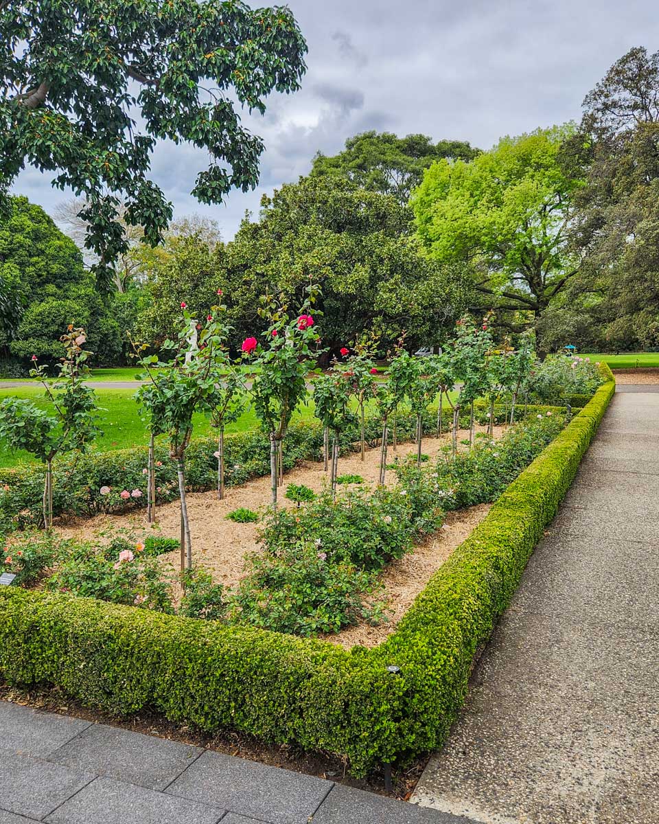Royal Botanical Gardens in Sydney Australia