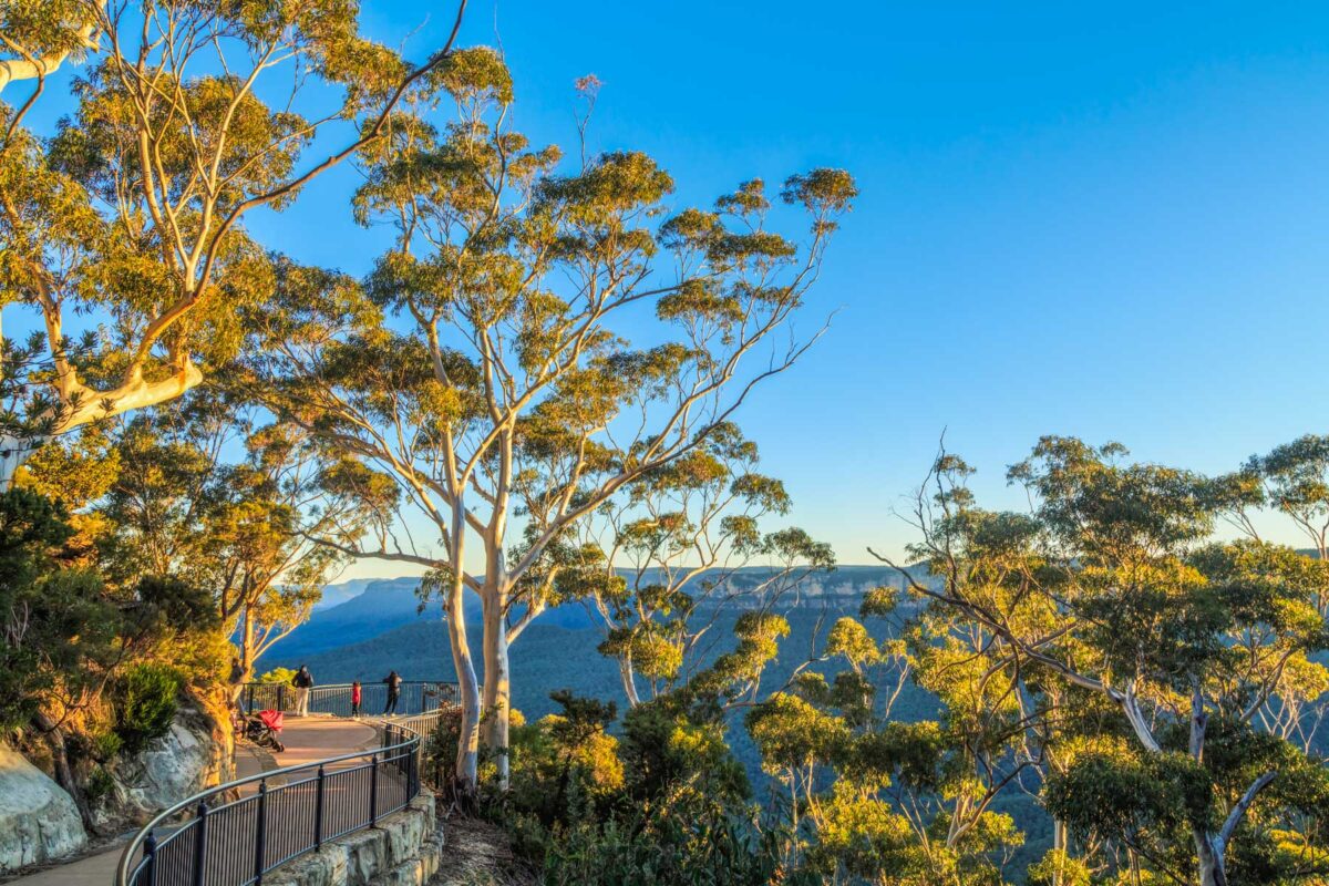 Scenic walkway in Blue mountains National Park