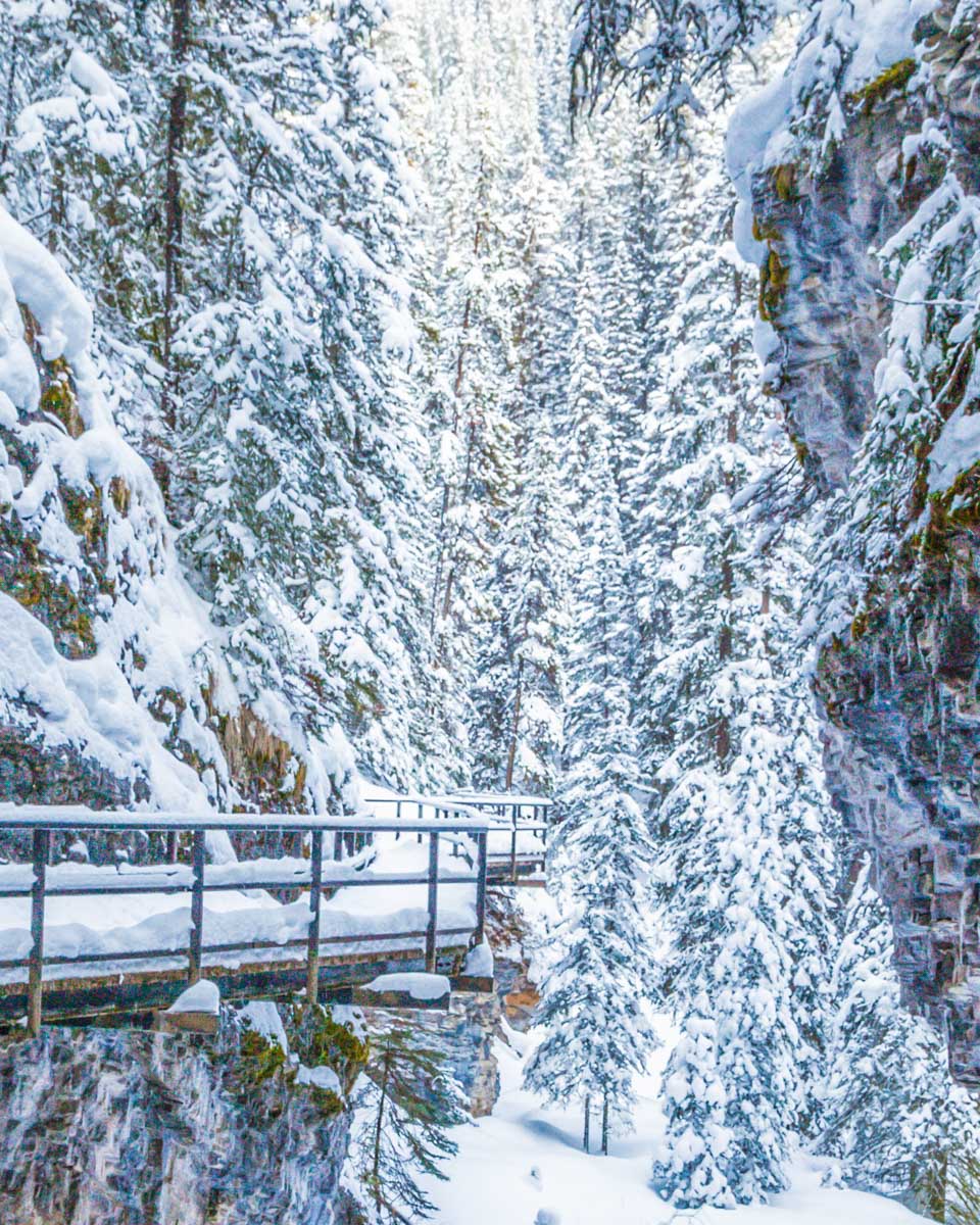 Snow covered boardwalk in Johnston Canyon, Banff NP