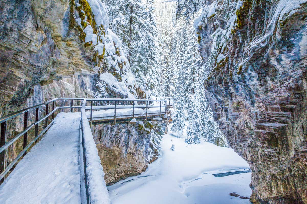 Snow covers the pathway to Johnston Canyon in Banff National Park in winter