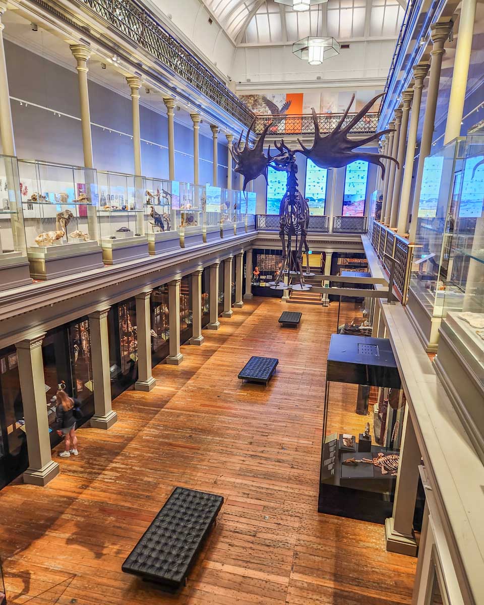 The Australian Museum in Sydney, Australia