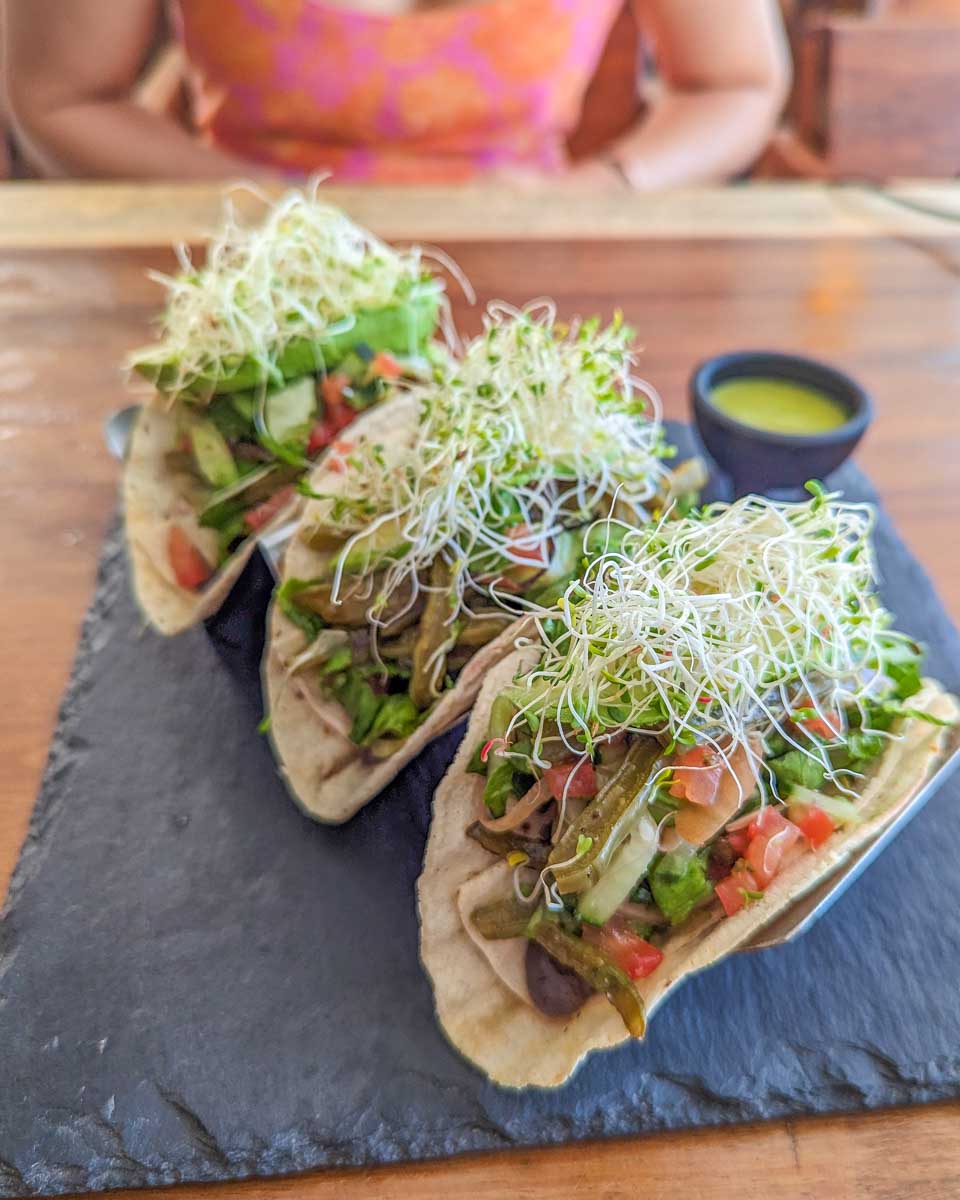 Vegan tacos in Playa del Carmen, Mexico