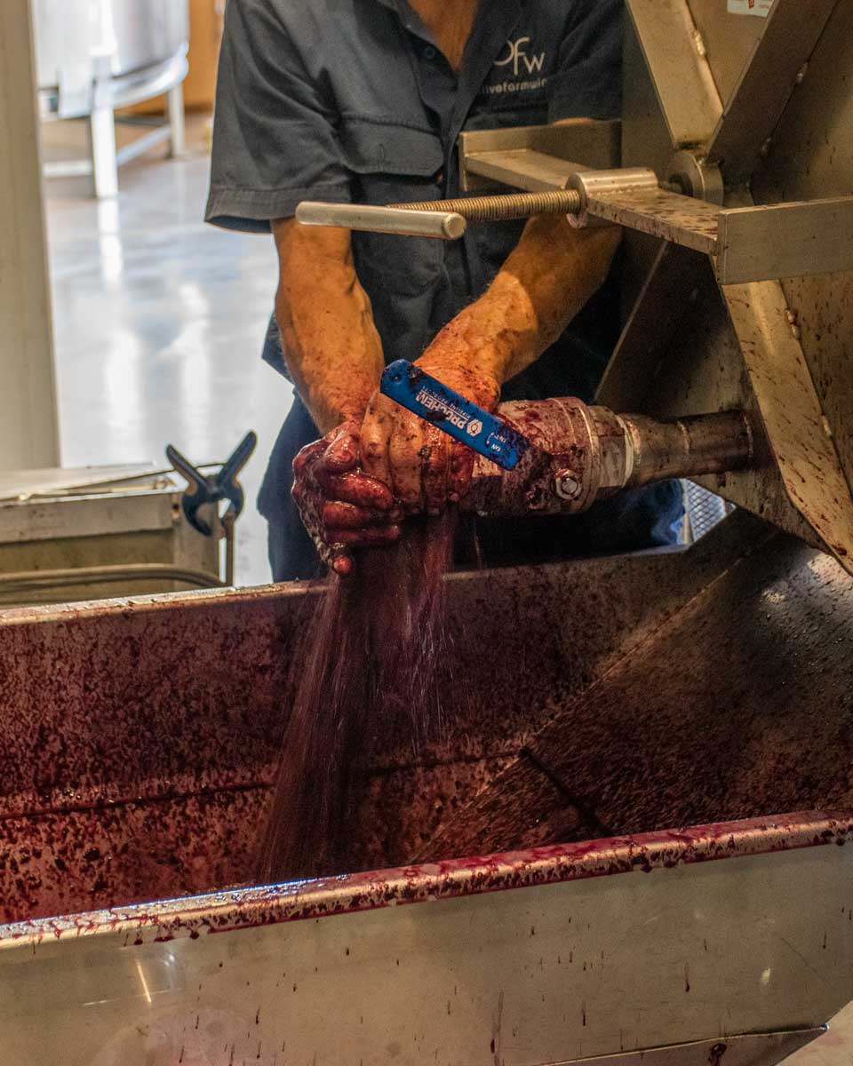 A man filters wine at a winery in the Hunter Valley