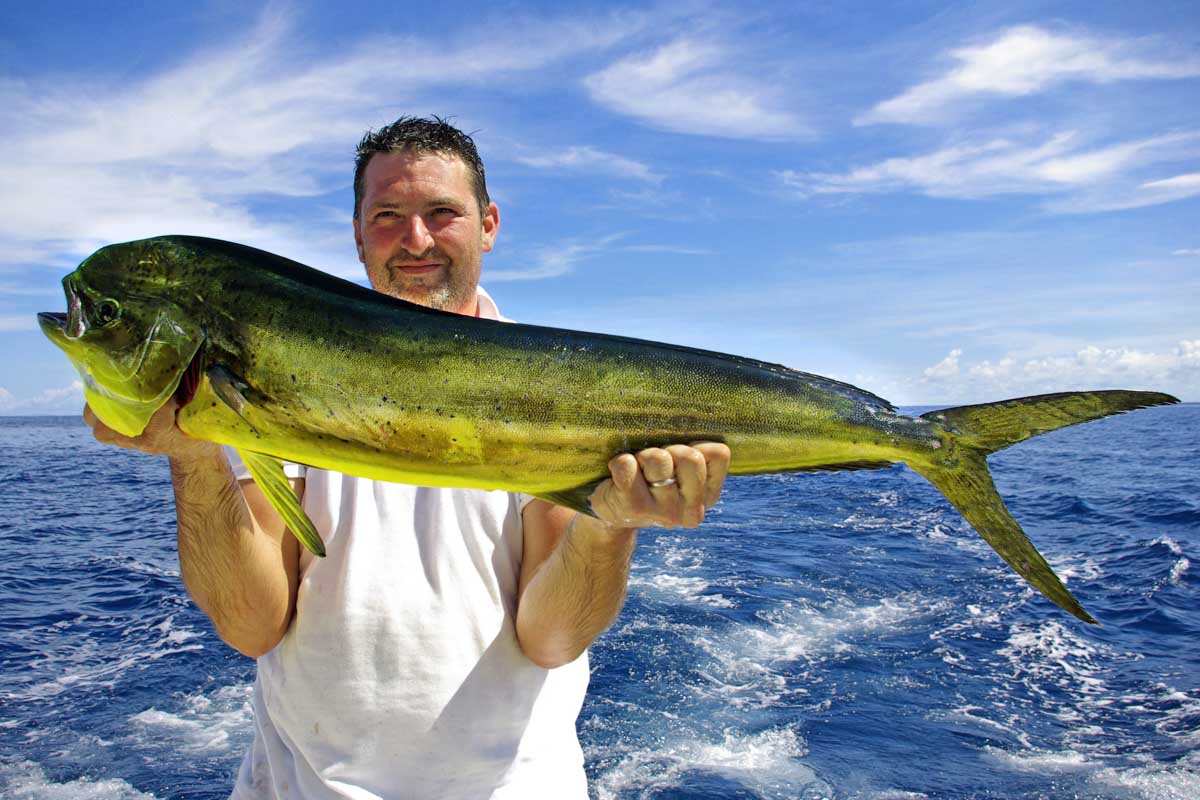 A man holds a mahi mahi fish on a fishing tour in Puerto Vallarta, Mexico