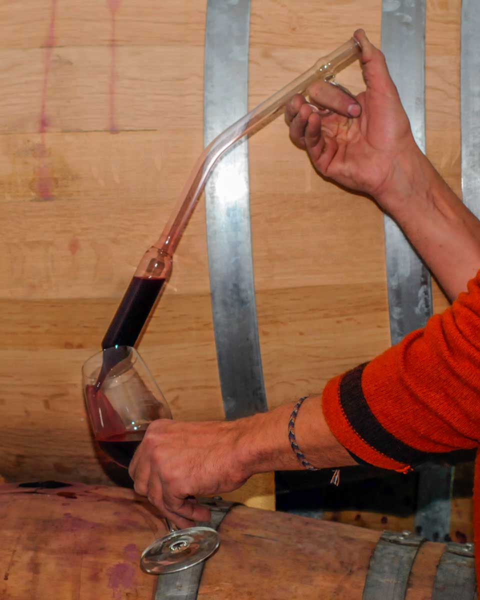 A man pulls wine straight from the barrel on a wine tour in Mendoza, Argentina