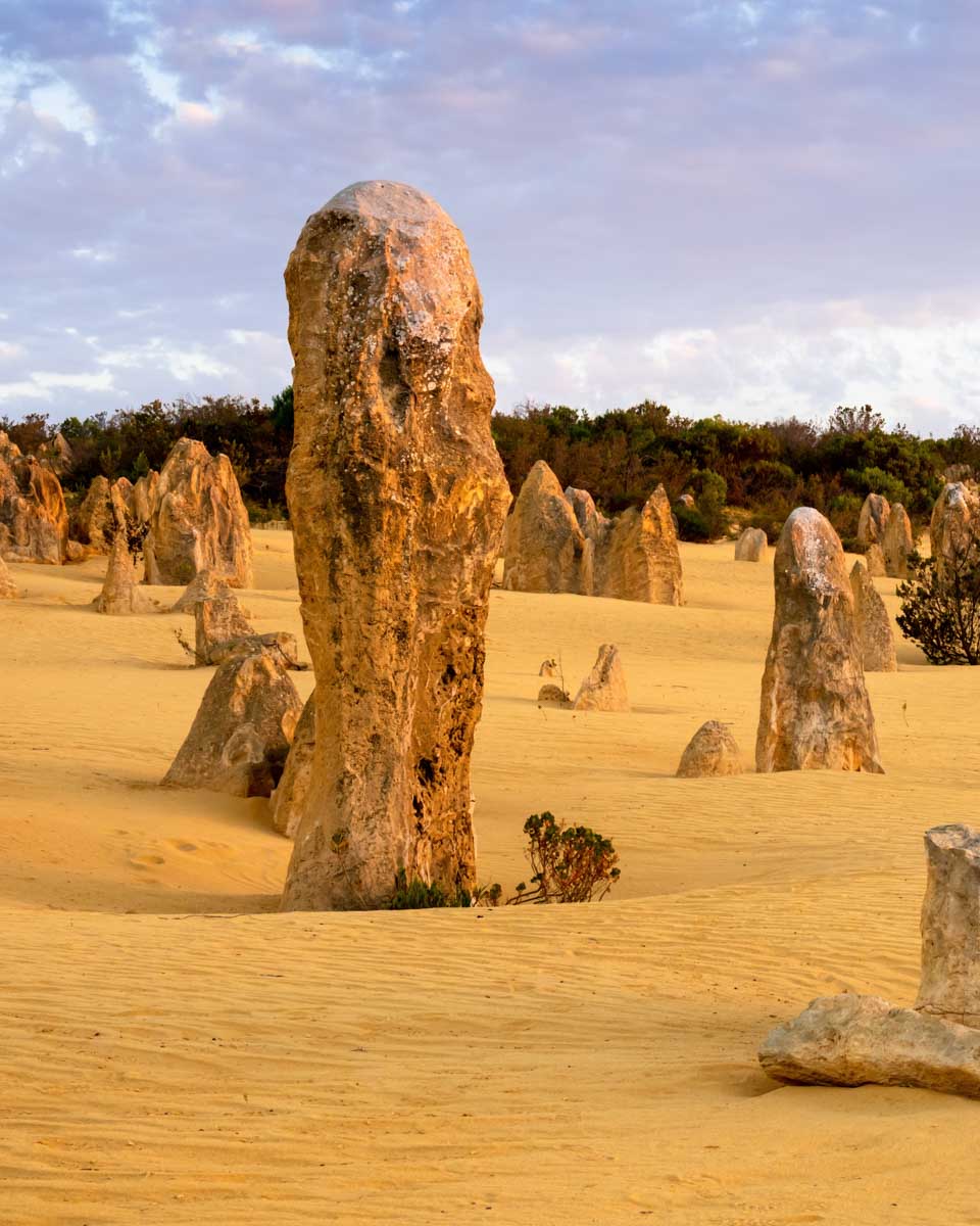 A tall pinnacle in Nambung National Park