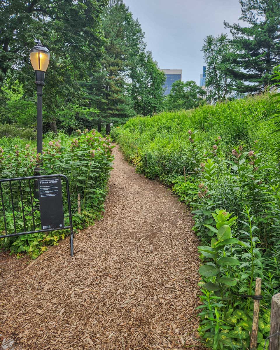 A trail through Central Park in NYC