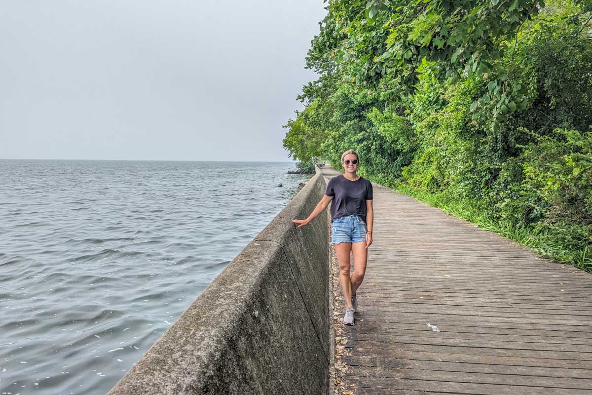 Bailey walks along the water on the Toronto Islands
