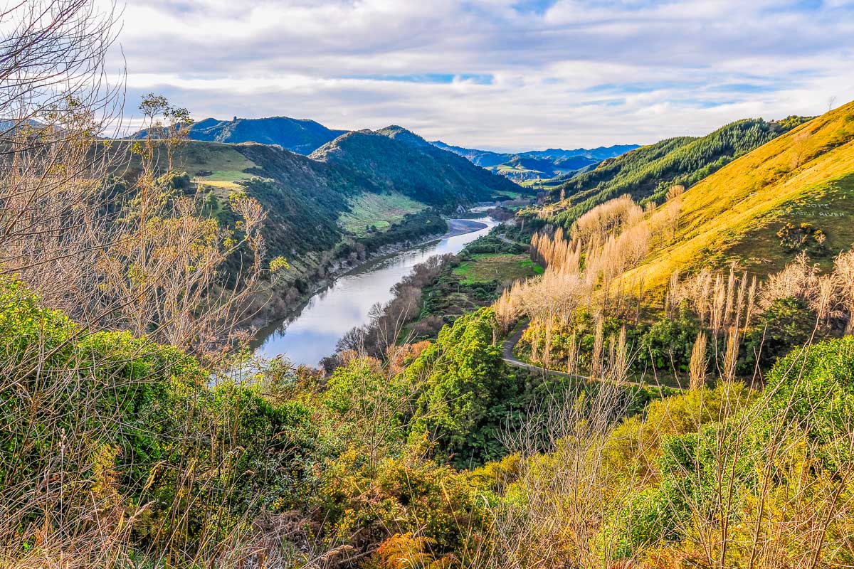 Beautiful views over the Whanganui River