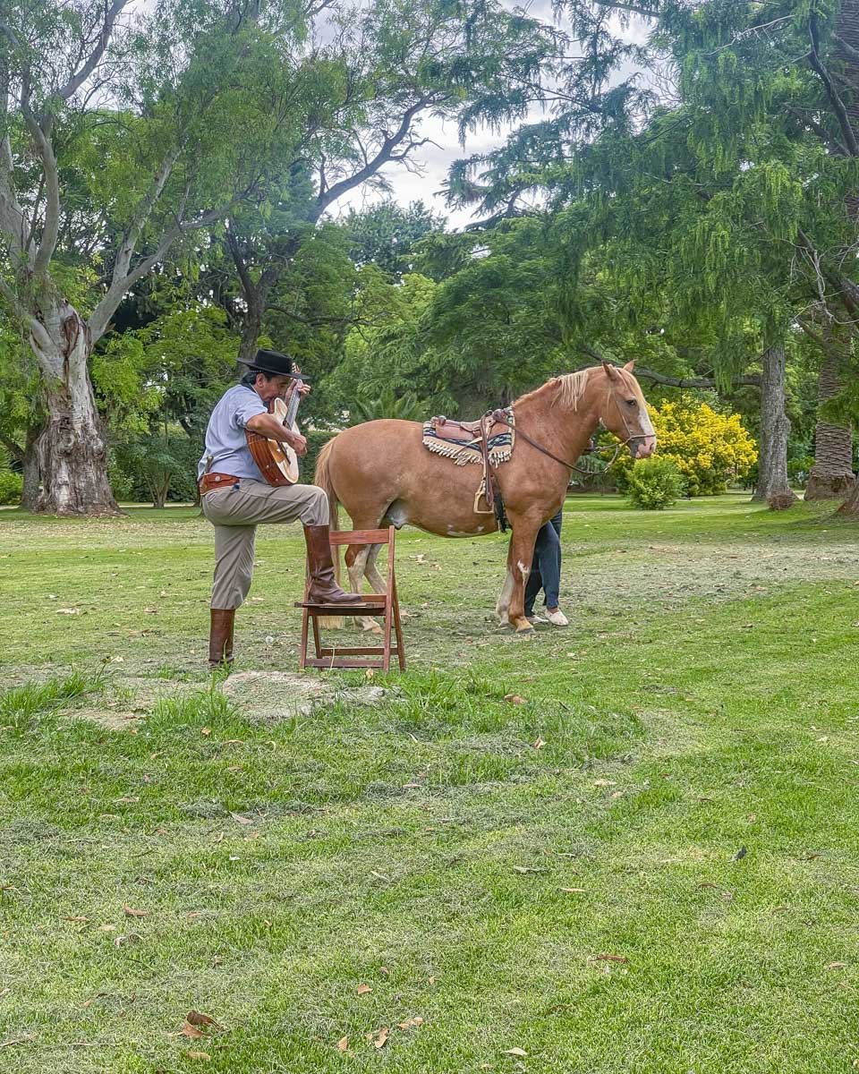 Gaucho demonstration with a horse