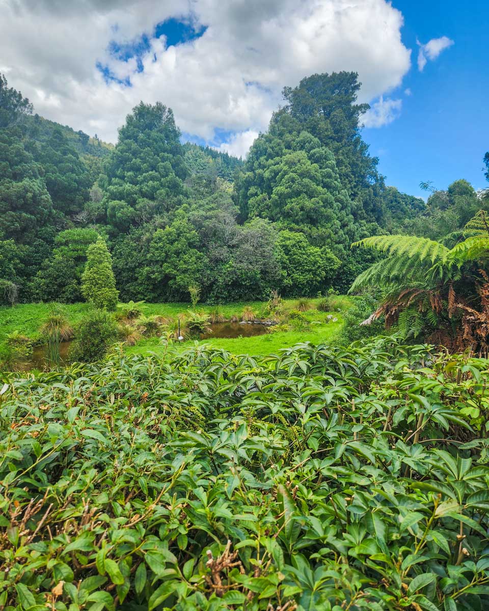 Inside of the Pukaha Mount Bruce National Wildlife Centre