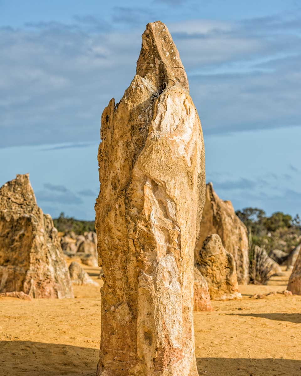 One tall Pinncles in The Pinnacles in Nambung National Park