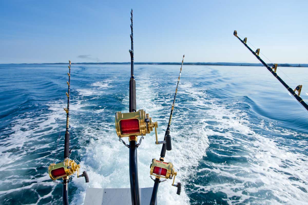 Trawling on a fishing charter in Puerto Vallarta, Mexico