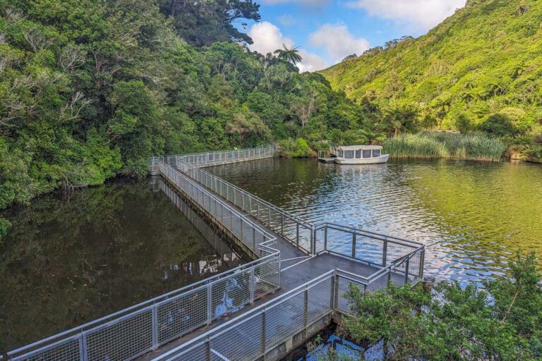 15 BEST Day Trips from Wellington, NZ (2026 Traveler Guide)